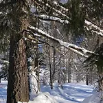 Alpenrose Ski&bike Mountain