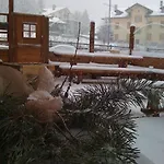 Otel Alpenrose Ski&bike Mountain 3*