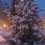 Otel Alpenrose Ski&bike Mountain