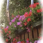 Alpenrose Ski&bike Mountain