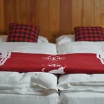 Alpenrose Ski&bike Mountain Otel Gressoney-Saint-Jean