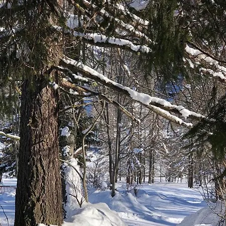 Alpenrose Ski&bike Mountain