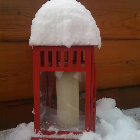 ホテル Alpenrose Ski&bike Mountain グレッソネイ・サイント・ジェアン