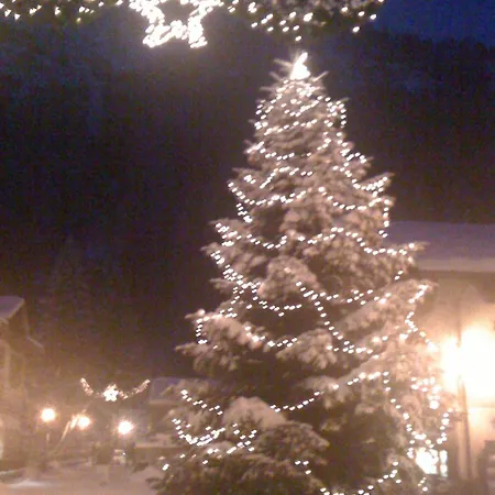 ホテル Alpenrose Ski&bike Mountain グレッソネイ・サイント・ジェアン