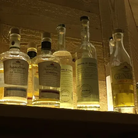 Alpenrose Ski&bike Mountain ホテル