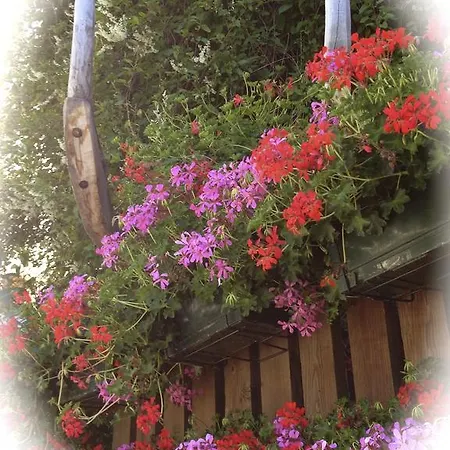 Alpenrose Ski&bike Mountain