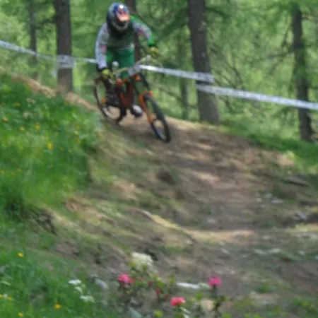 Alpenrose Ski&bike Mountain מלון 3*