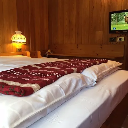 Alpenrose Ski&bike Mountain