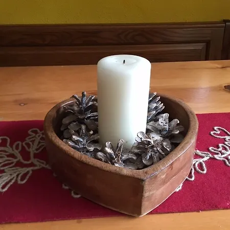 Alpenrose Ski&bike Mountain ホテル グレッソネイ・サイント・ジェアン