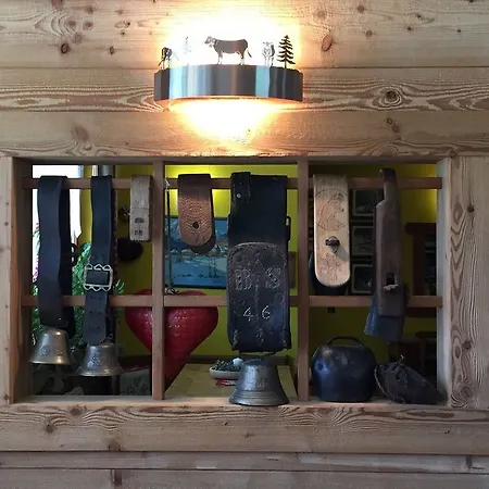 מלון Alpenrose Ski&bike Mountain גרסוני-סן-ג'אן