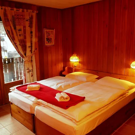 Alpenrose Ski&bike Mountain ホテル