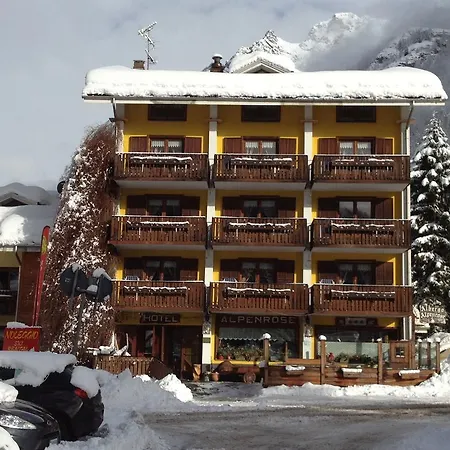 Alpenrose Ski&bike Mountain ホテル 3*