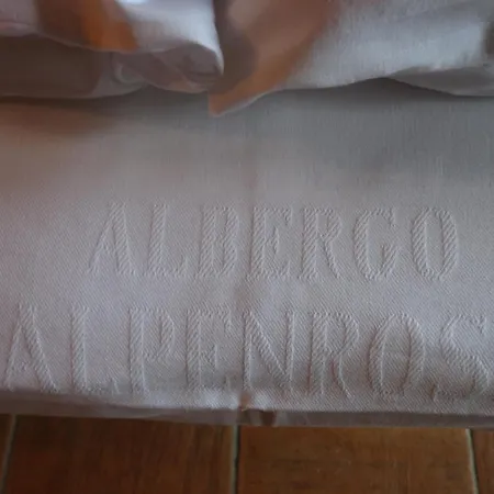 Alpenrose Ski&bike Mountain グレッソネイ・サイント・ジェアン