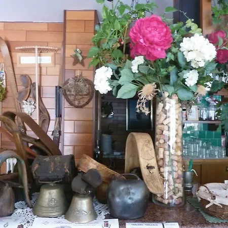 Alpenrose Ski&bike Mountain מלון 3*