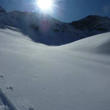 Alpenrose Ski&bike Mountain ホテル グレッソネイ・サイント・ジェアン