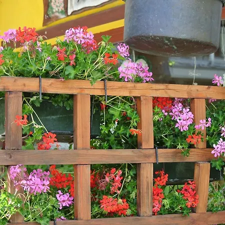 Alpenrose Ski&bike Mountain Hotel