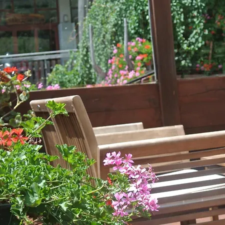 Alpenrose Ski&bike Mountain 3* グレッソネイ・サイント・ジェアン