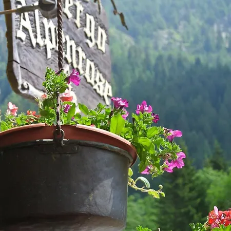 מלון Alpenrose Ski&bike Mountain 3*