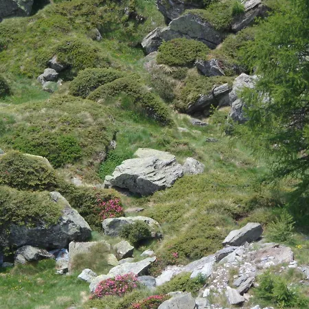 ホテル Alpenrose Ski&bike Mountain 3*