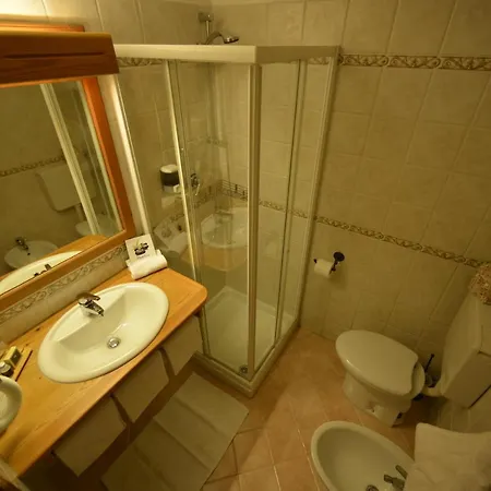 מלון Alpenrose Ski&bike Mountain גרסוני-סן-ג'אן